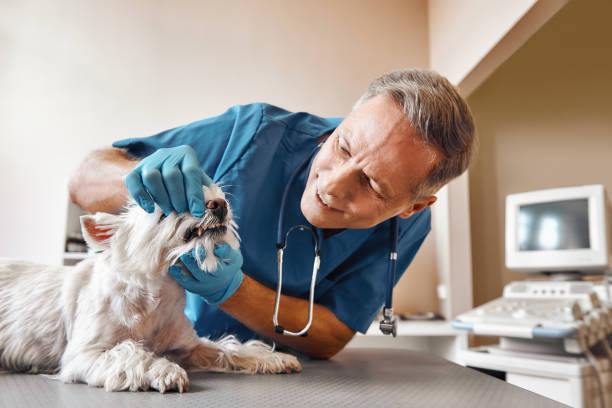 Best Emergency Tooth Extraction in Ben Bolt, TX